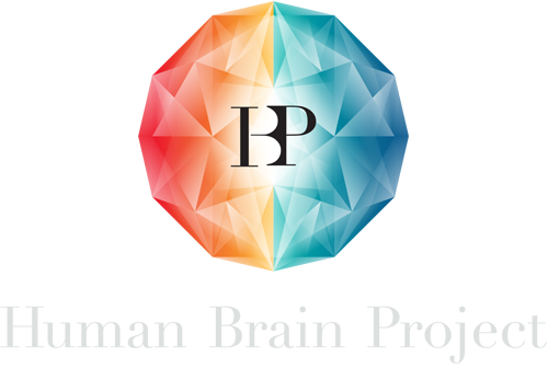 EU Human Brain project