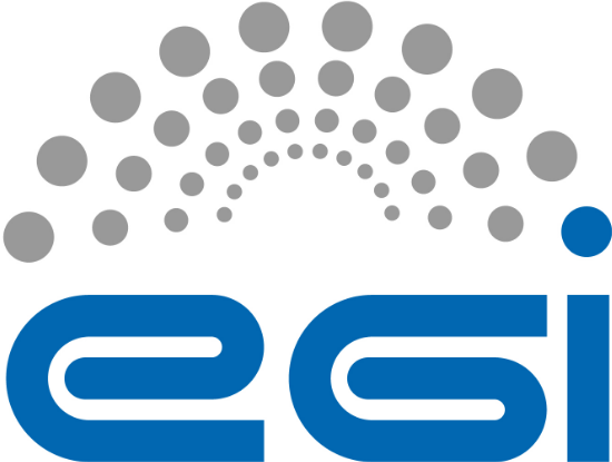 EGI Foundation logo