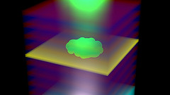 Polariton BEC within the polymer-filled micro-resonator
