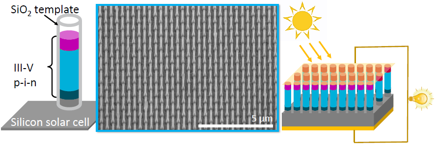 SEM of III-V nanowires grown via TASW on a Si solar cell